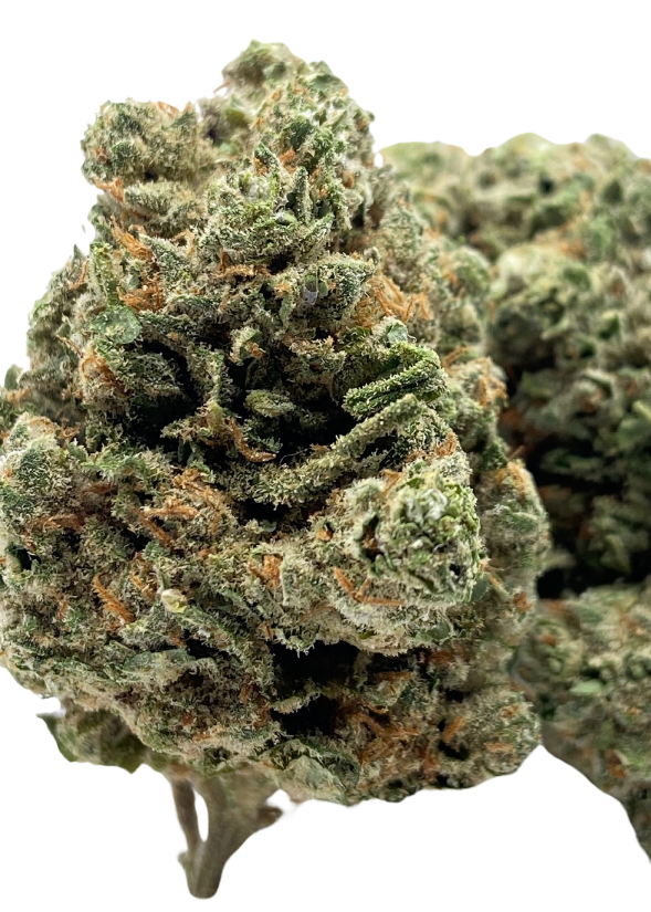 Ice Kush - Hydro