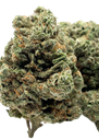 Ice Kush - Hydro