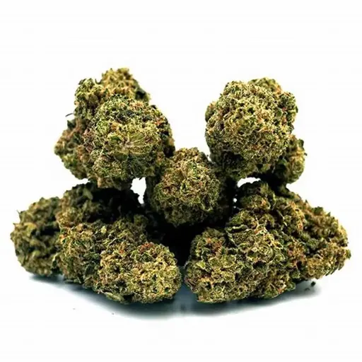 Bluerberry Muffin - CBD Indoor